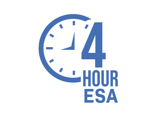 4 Hour ESA